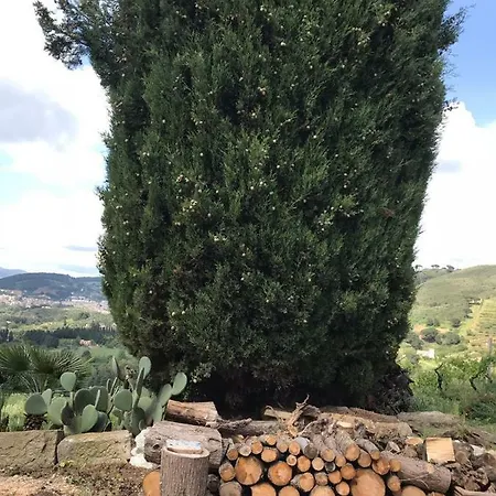 My Country House Calatafimi